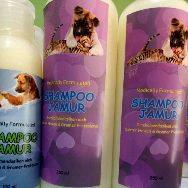 Shampo JAMUR MEDICALLY penyakit kulit anjing &amp; kucing