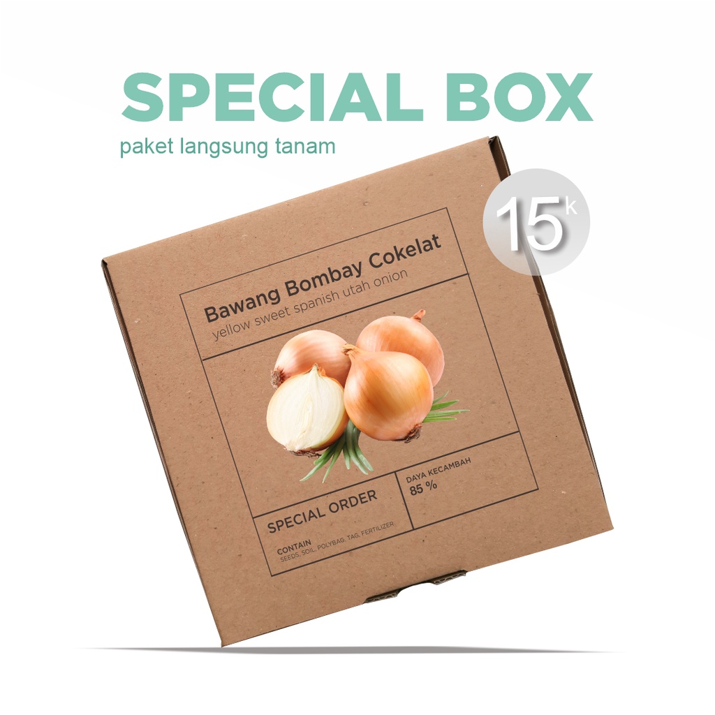 Paket Langsung Tanam - Gardening Kit - SPECIAL BOX - Benih Bawang Bombay Cokelat Yellow Sweet Spanish Utah Onion Seeds