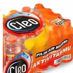 

Cleo Air Mineral 220 ml Isi 24 pcs