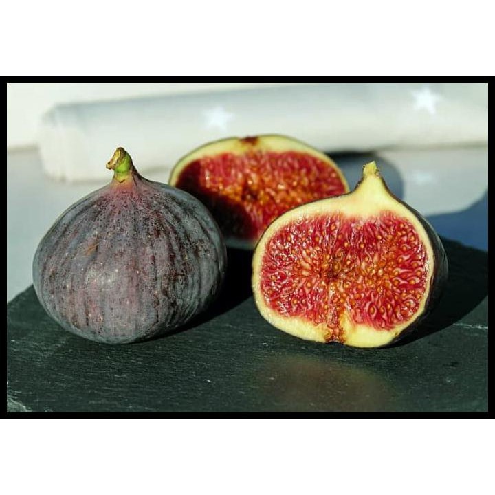 HOT DEAL KAPSUL SARI BUAH TIN ORIGINAL