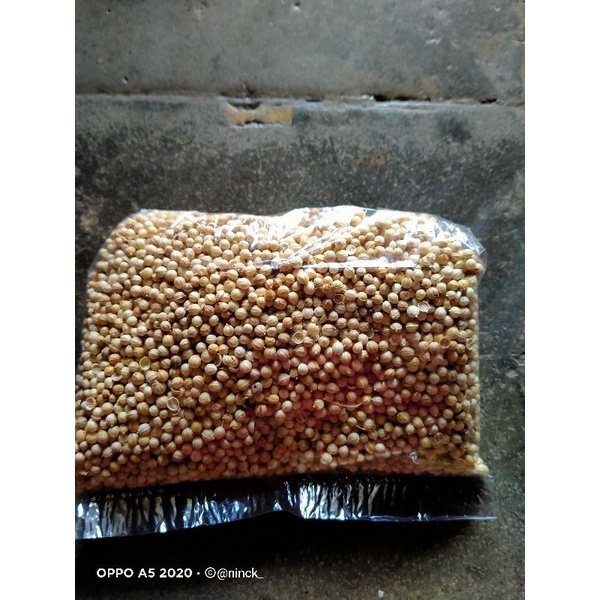 

tumbar butir/biji 250 gr murah meriah warna asli tanpa cucian tanpa pengawet semarang