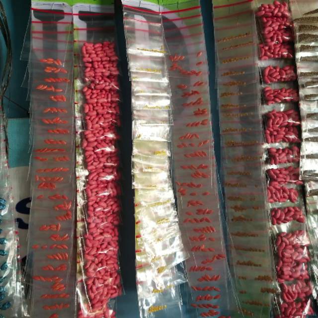 

Bibit sayuran murah