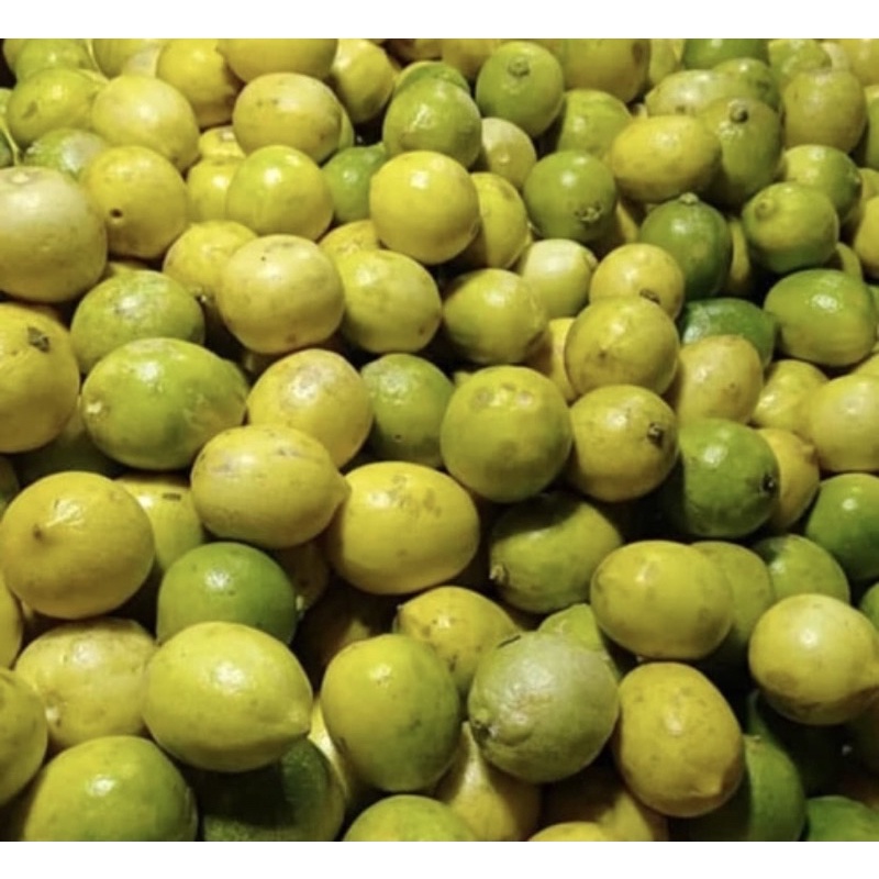 

SAYUR ORGANIK Jeruk Lemon