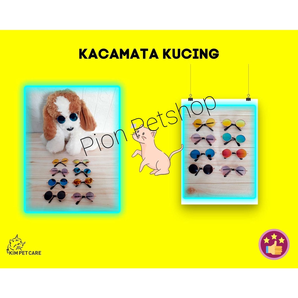 Kacamata Lucu Untuk Kucing dan Anjing