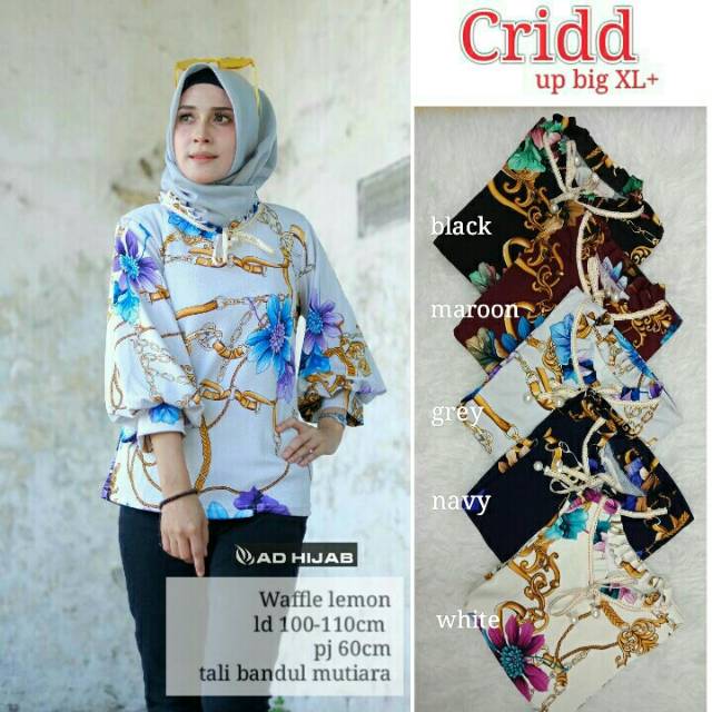 

Ceidd