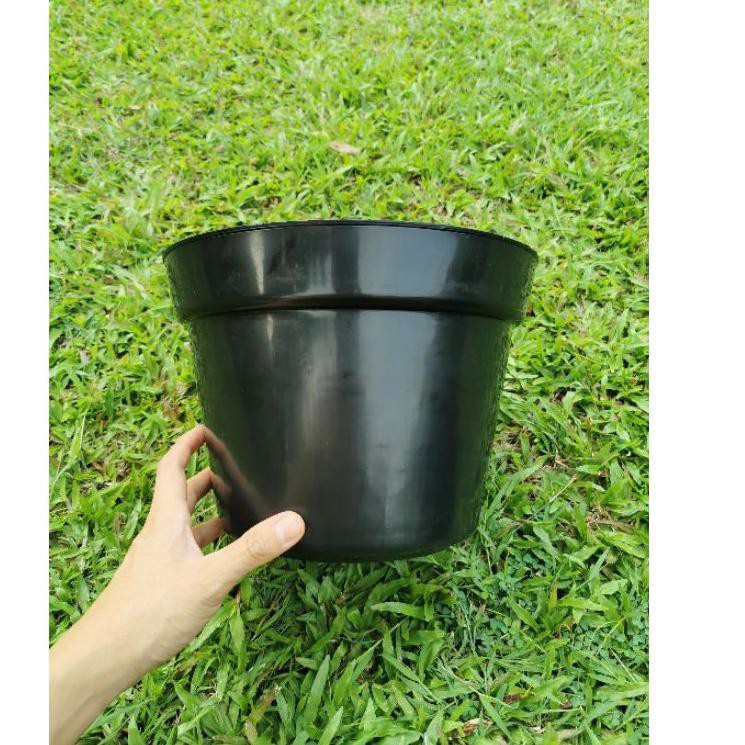 FLASH SALE COD TANAKA PLASTIC - Pot Bunga 30 ANTI PECAH - Berat 200gr ++, TEBAL & KUAT 28 29 31 32 3