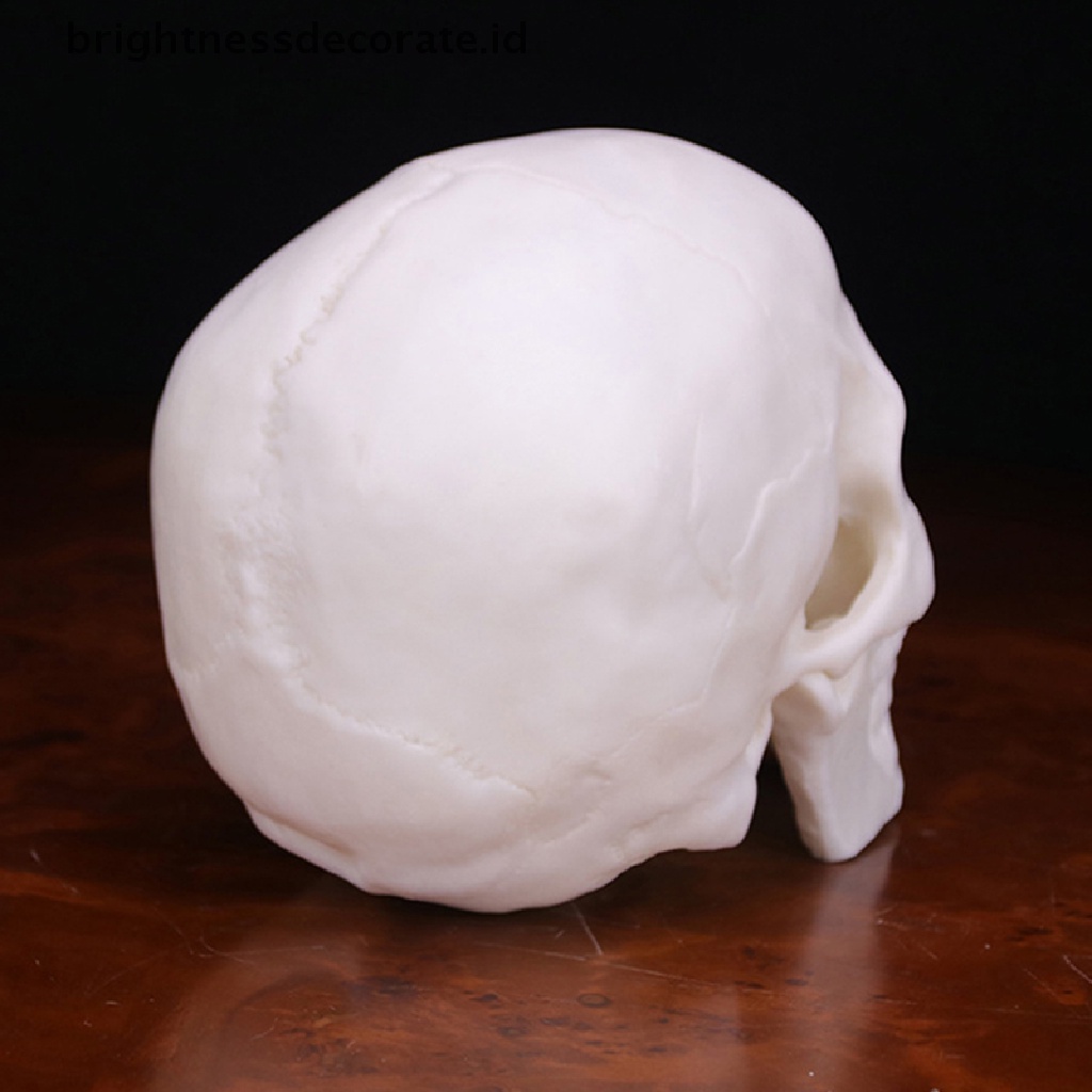 Model Tengkorak Manusia Bahan Resin Warna Putih 1: 1 Untuk Dekorasi Halloween