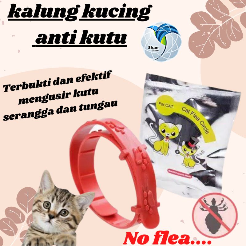 KALUNG ANTI KUTU KUCING ANJING  KALUNG KUCING ANTI KUTU NO FLEA TERMURAH