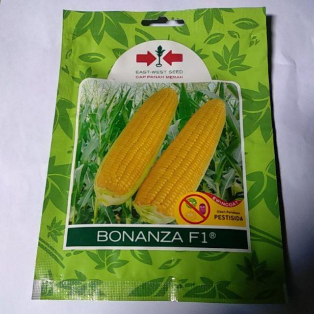 Benih Jagung Manis Bonanza F1 200 Butir