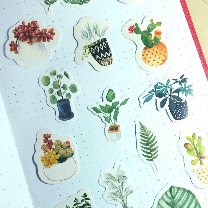 

[SATUAN] Sticker Aesthetic TANAMAN HIJAU RANDOM SATUAN Lucu Murah