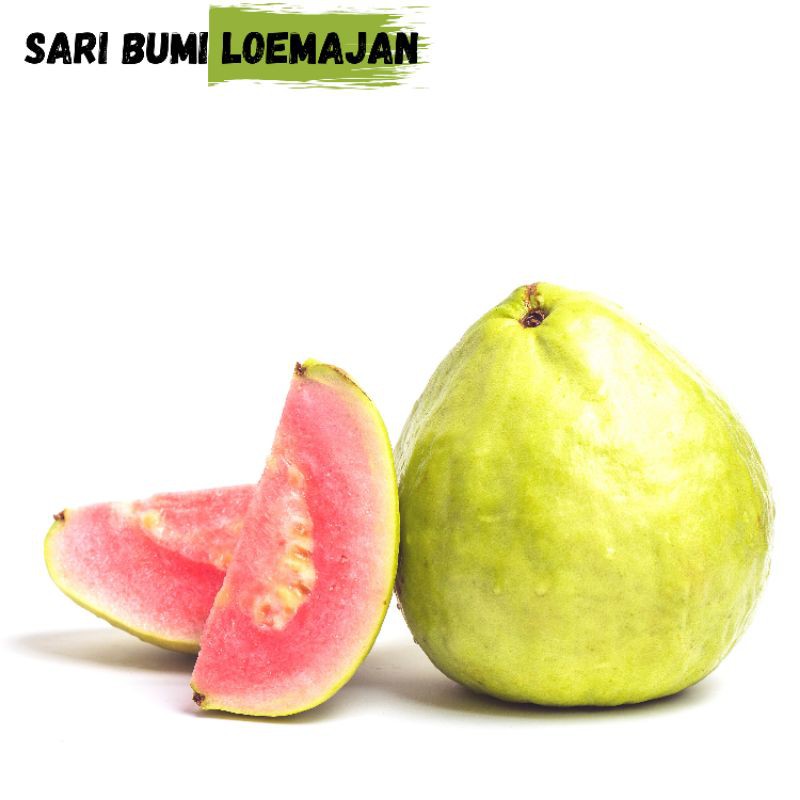 

buah jambu merah 1kg