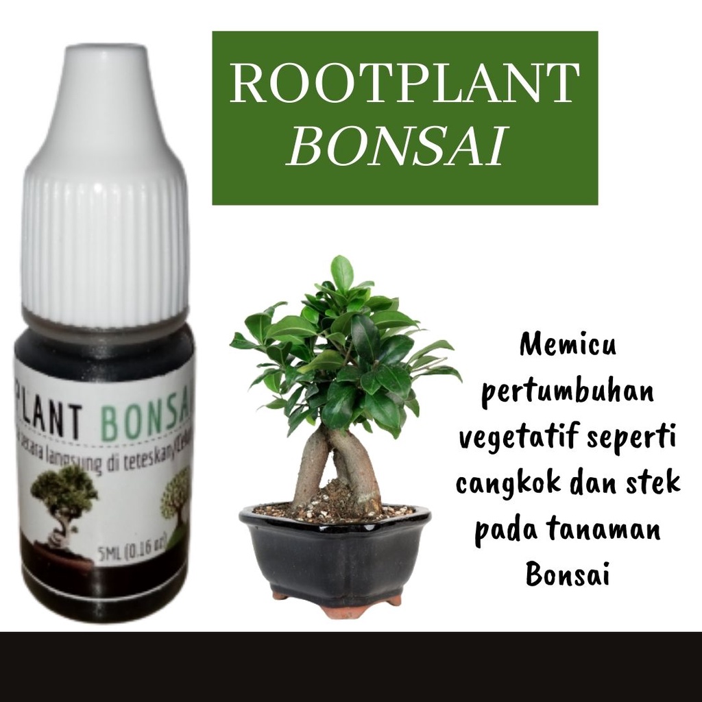 Pupuk Bonsai Serut Cair 5 ML Terbaik, Rootplant Bonsai Pemicu Pertumbuhan Bonsai Paling Ampuh