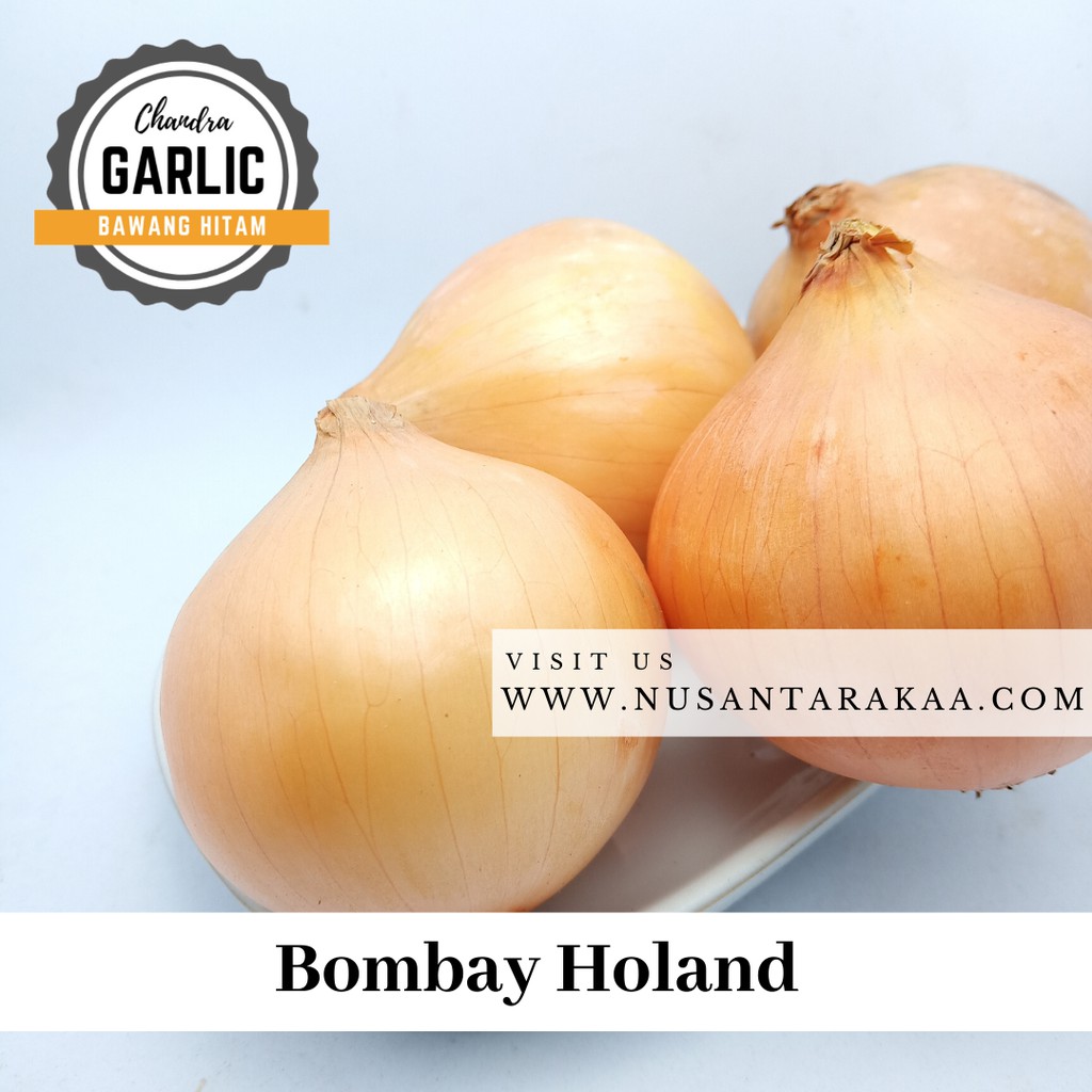 

Best Seller! bawang bombay / bombai 500 gr