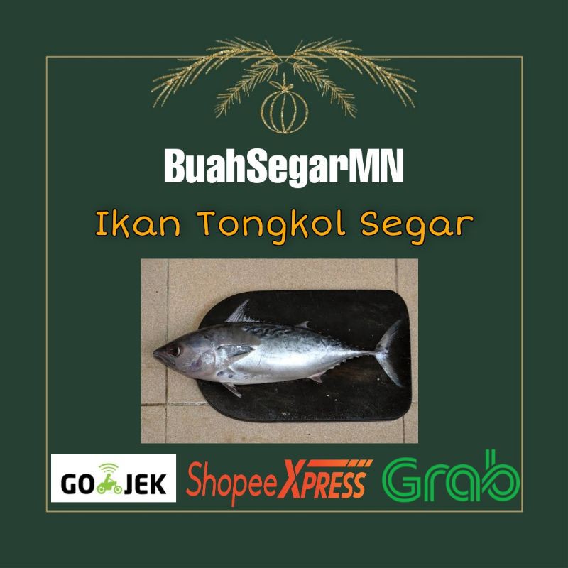 

Ikan Tongkol Segar