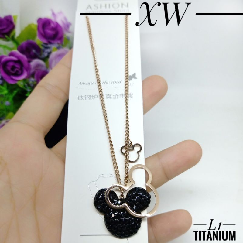 Kalung Titanium 60cm XW025