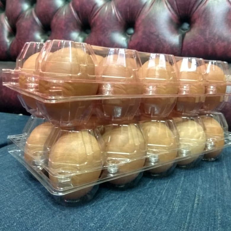 SGS mika telur/egg tray/tray telur isi 10 sudah ada pengunci Bermutu