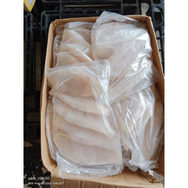 

ikan dori