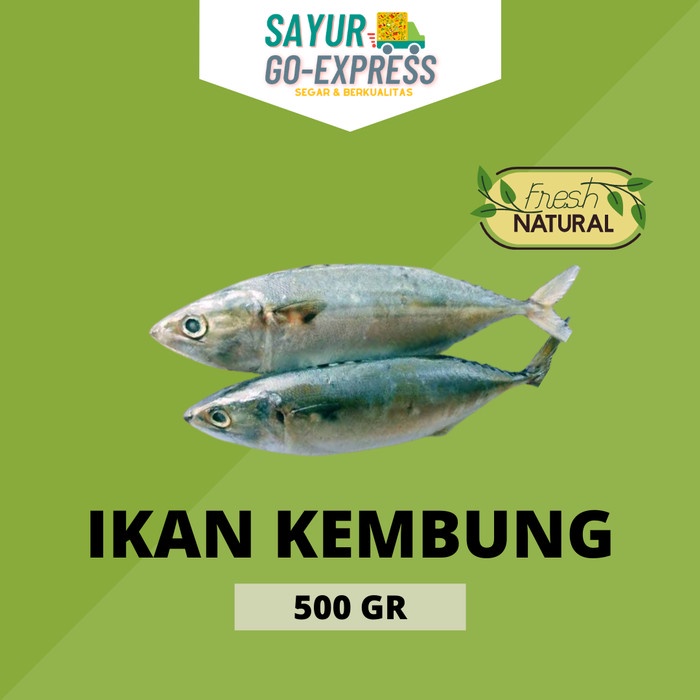 

ikan kembung segar 500gr - 1000gr
