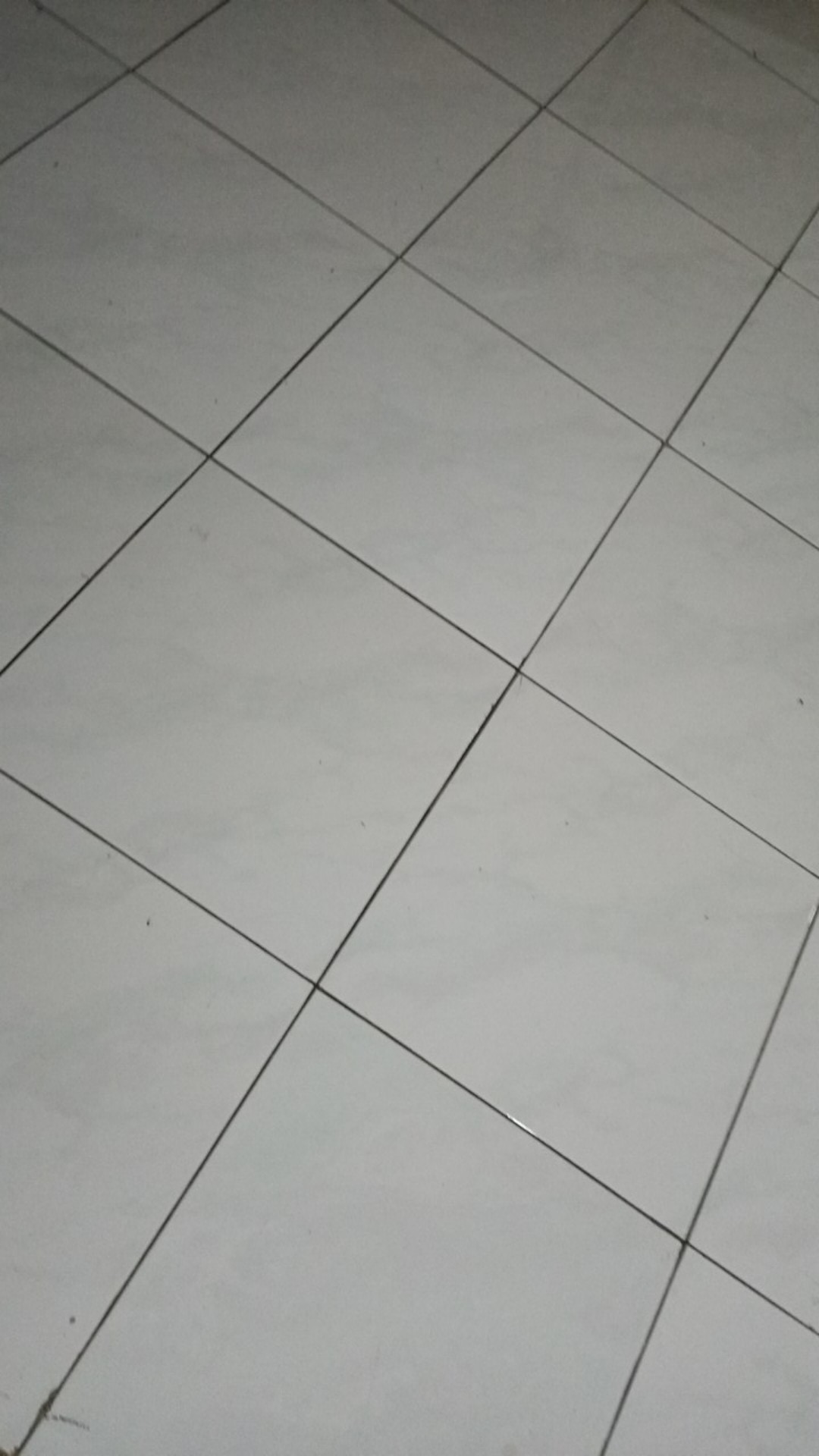 Pot Acrylic Mutiara/pot Akrilik/pot Kosmetik/pot Cream/pot Krim 10 G Putih/pot Kosmetik