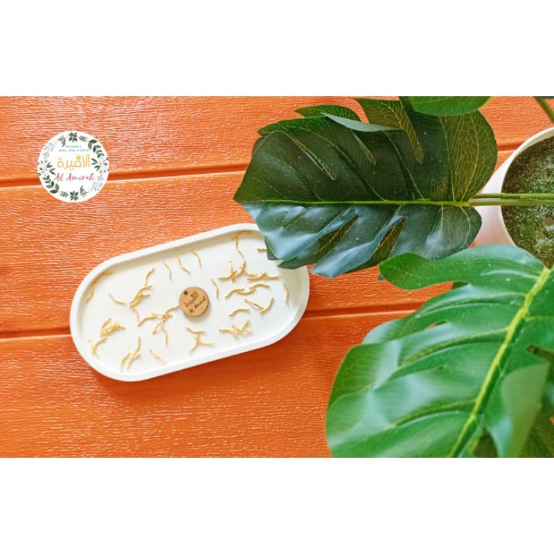 Paku Ulir || Kawat Seksi || Pembatas Lengkung Mini || Ulir 2 Lubang