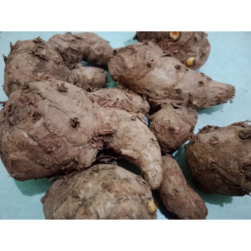 

TEMULAWAK SEGAR 1KG