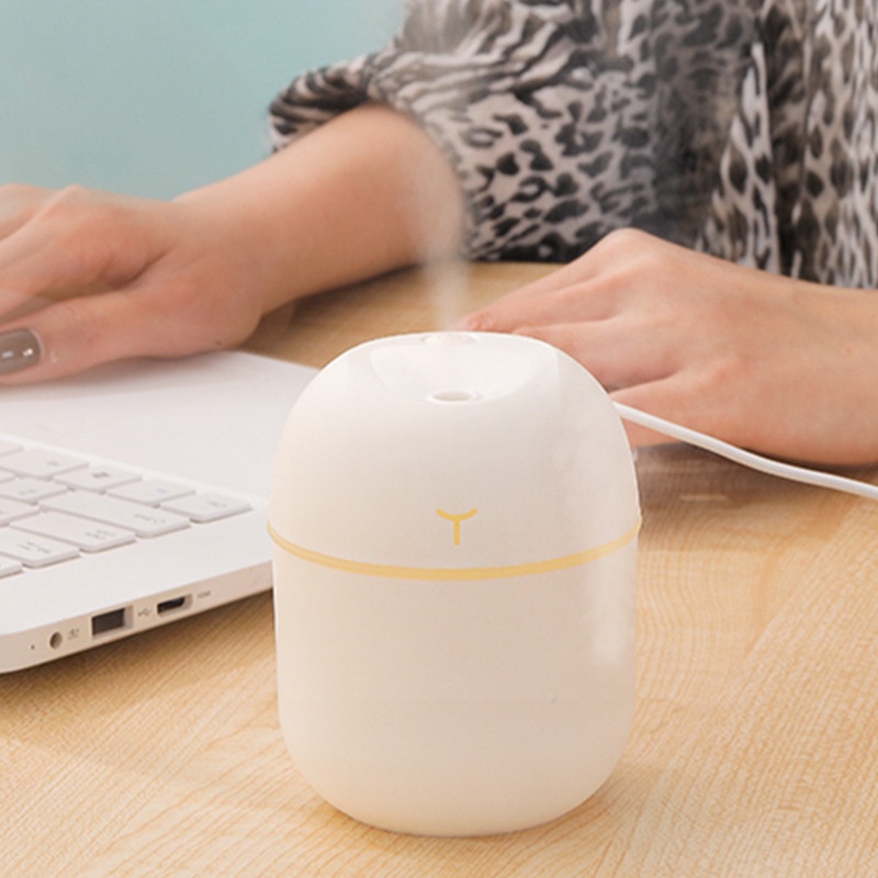220ML Mini Diffuser Humidifier / Air Purifier Aromatherapy Essential Oil Difuser