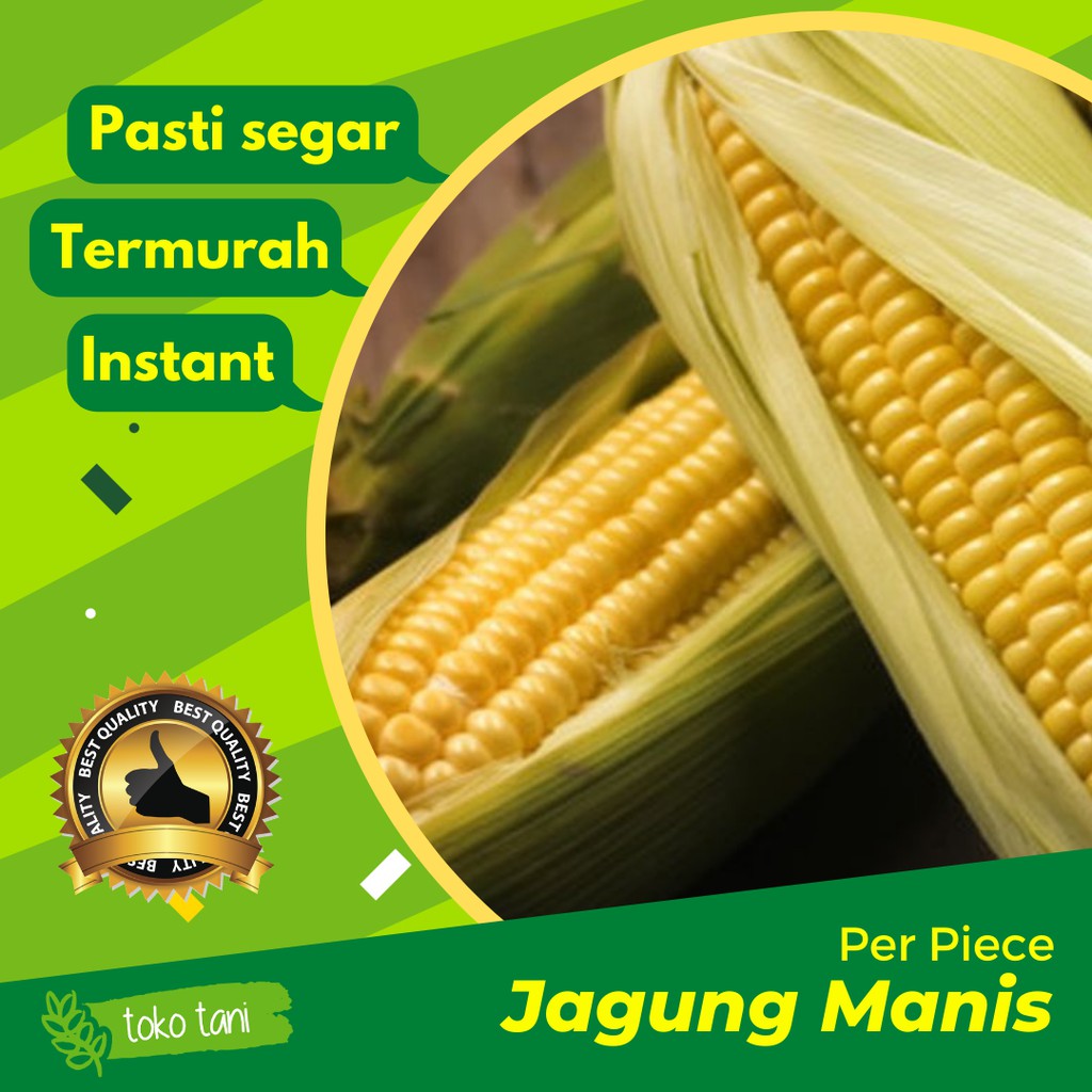 

Jagung Manis 1 Piece