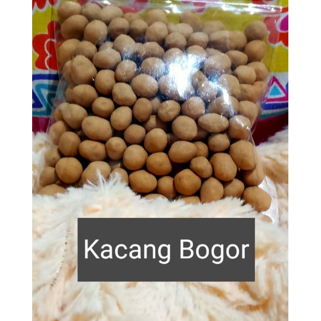 

Kacang Bogor