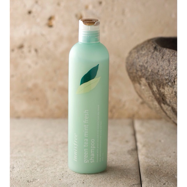 Green Tea Mint Fresh Shampoo