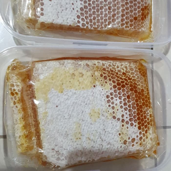 

Sarang Asli Melifera