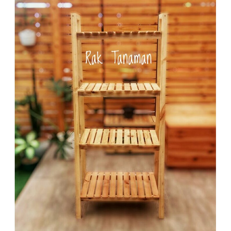 Rak Tanaman Jati Belanda