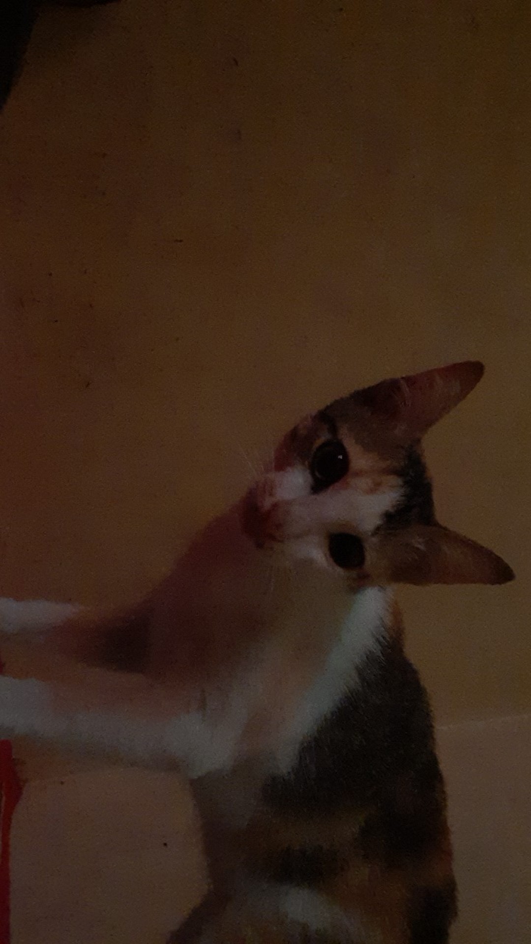 Batik Pria Kemeja Batik Pria Lengan Panjang Size M L Xl Xxl Terlaris