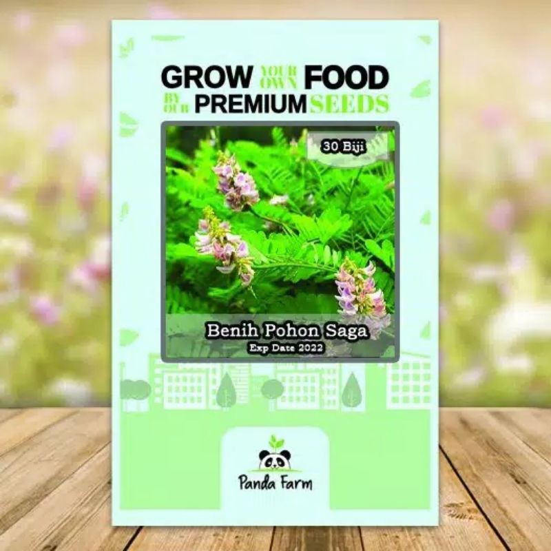 Benih Pohon Saga
