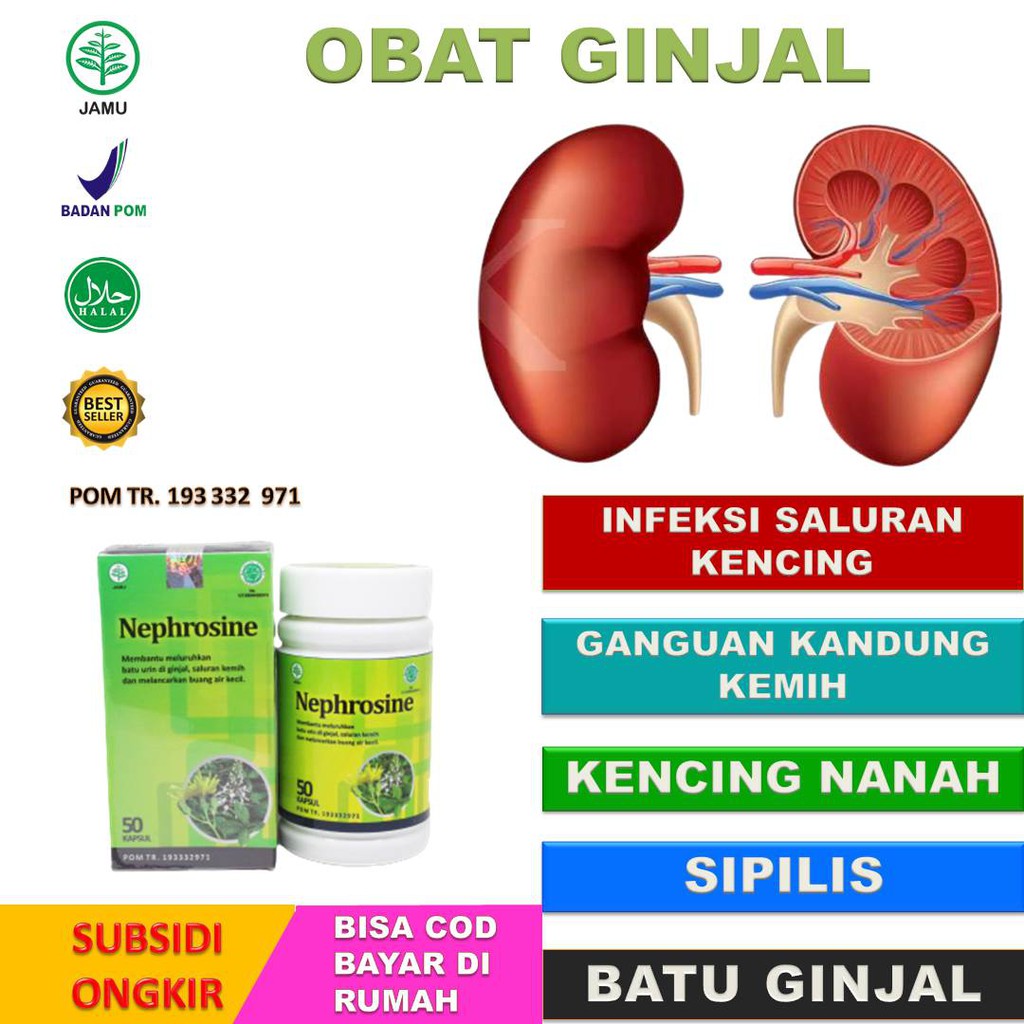 [HALAL]Obat Batu Ginjal Pecahkan Batu Ginjal Keluarkan Batu Ginjal