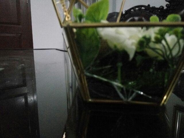 Tempat Cincin Terrarium