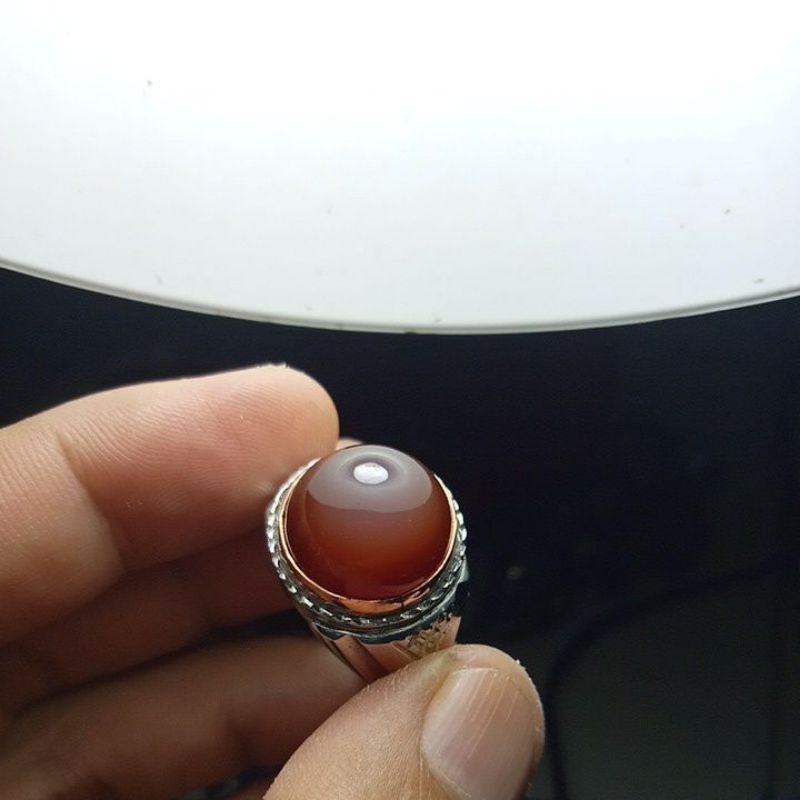 bacan obi coklat mulus super