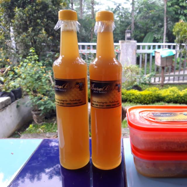 

Madu murni peras