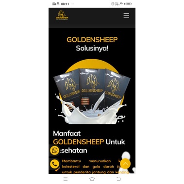

susu etawa goldensheep