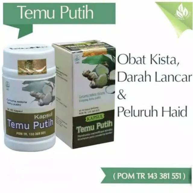 

Temu Putih