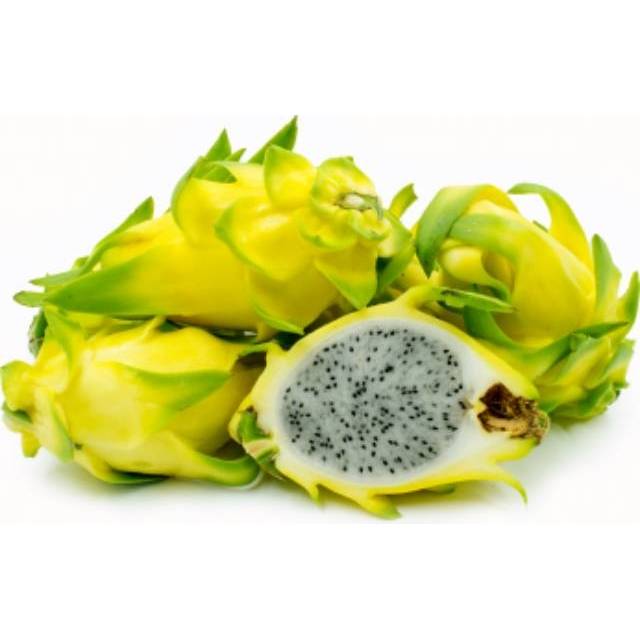 

Golden Isis ( golden dragon fruit) buah naga kuning tanpa duri