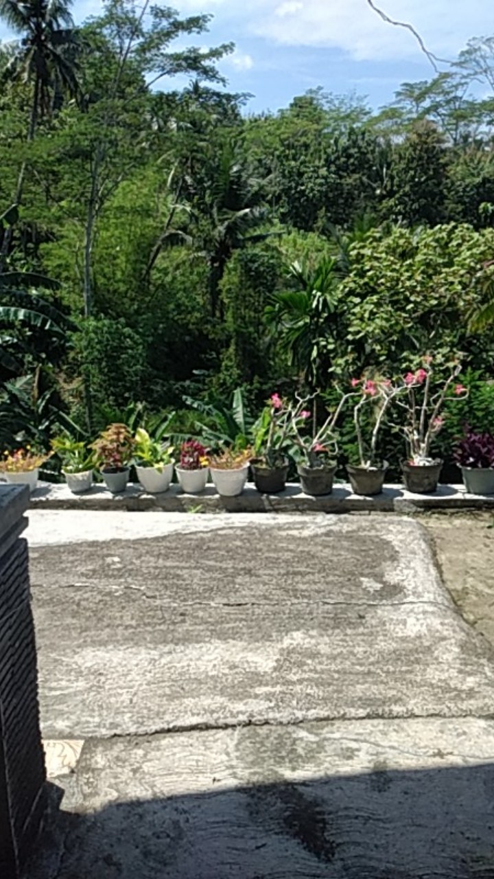 Bisa Pisah Batik Couple Keluarga Sania Ruffle Ori Ndoro Jowi Termurah