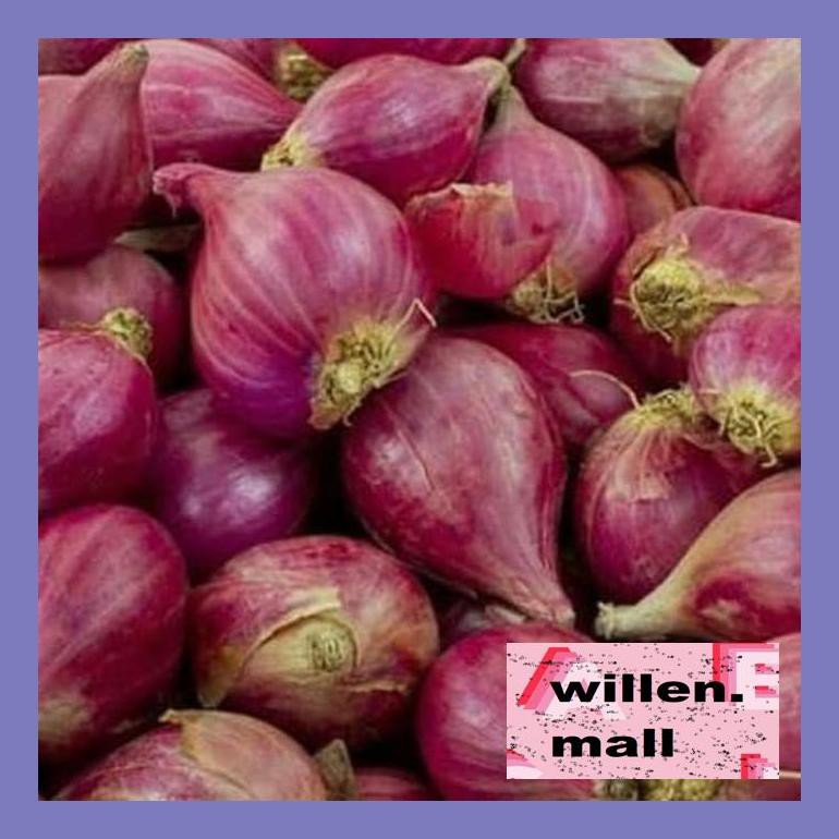 

Wil4Sbu Bawang Merah Brebes Bud0Elw