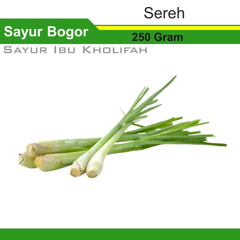 

Daun Sereh Serai 250 Gram Bumbu Dapur Sayur Sayuran Online Segar Bogor