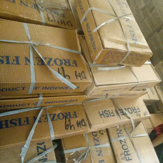 

ikan deho beku all size