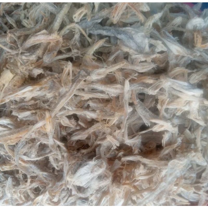 

Ikan Asin Jambrong / Sitting / Gesek Cangak