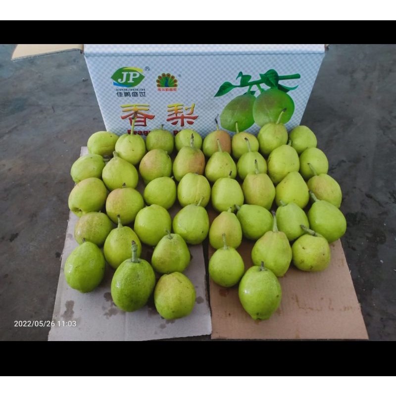 

pir xianly/buah pir xianly manis