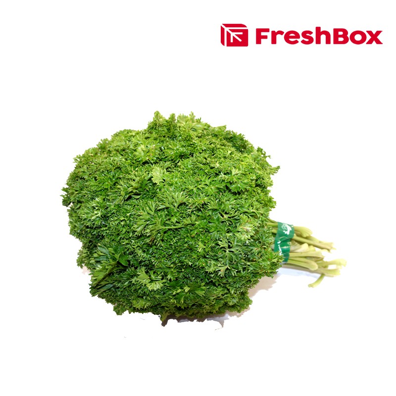 

Daun Parsley 250gr FreshBox