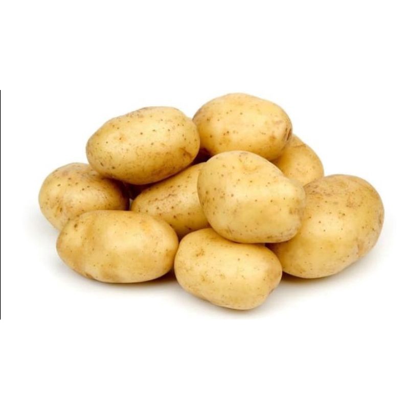 

kentang segar 500 gram