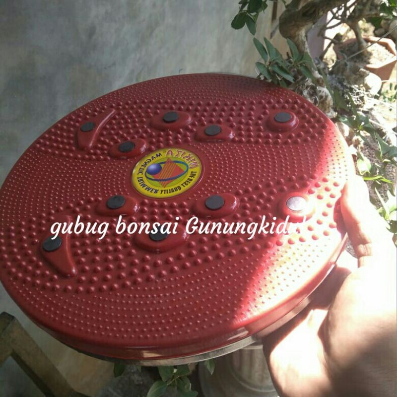 Trimmer alat putar bonsai ,meja putar bonsai