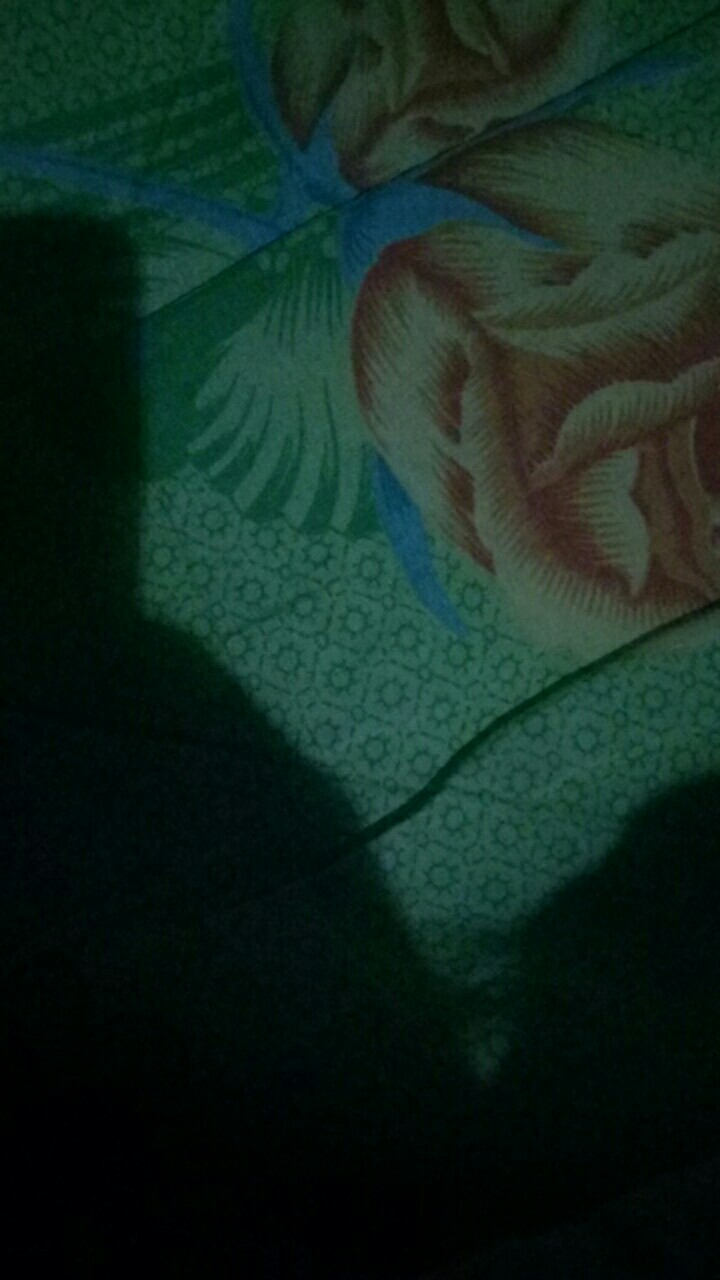 Grendel Pintu Stainless // Grendel Slot Pintu